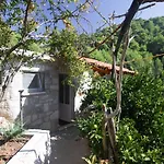 Апартаменты Robinson Ficus Bogomolje
