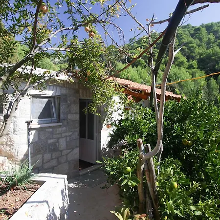 Appartement Robinson Ficus Bogomolje