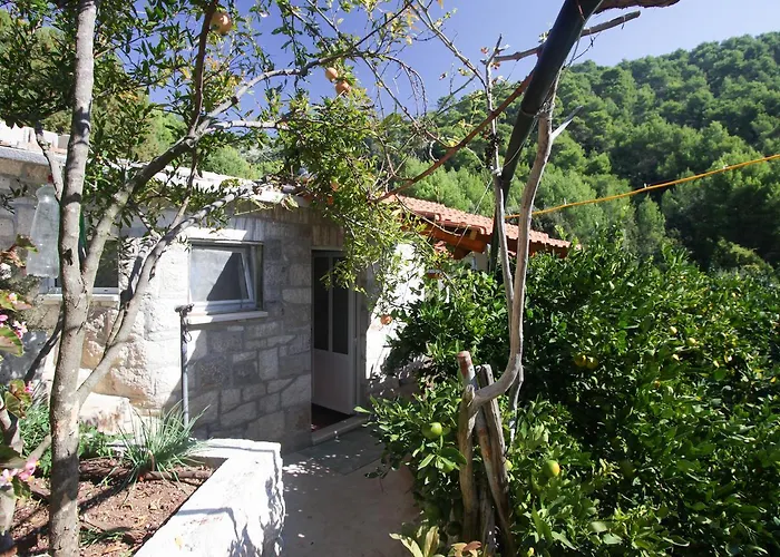 公寓 Robinson Ficus Bogomolje